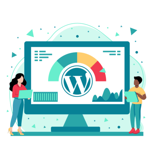 WordPress Speed Service