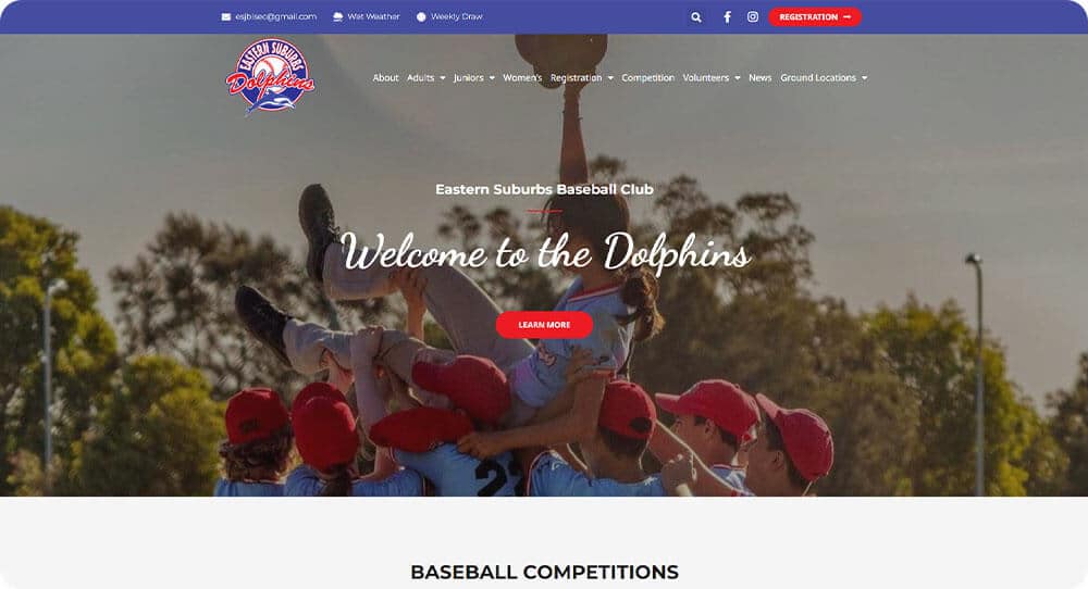 eastern-suburbs-dolphins-wordpress-website-design