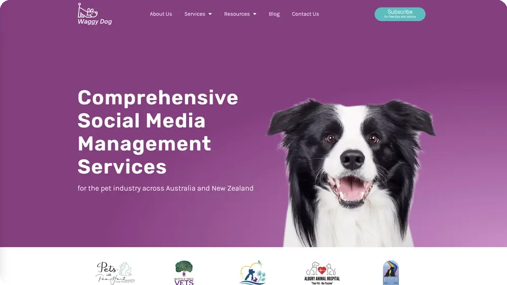 waggy-dog-website-design