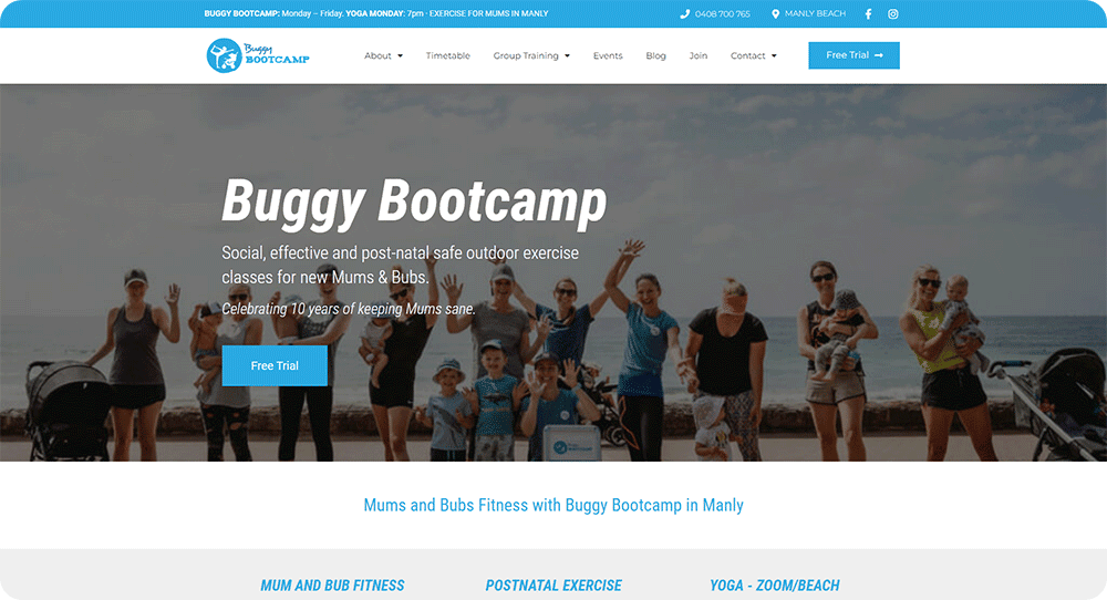 wordpress website design buggybootcamp